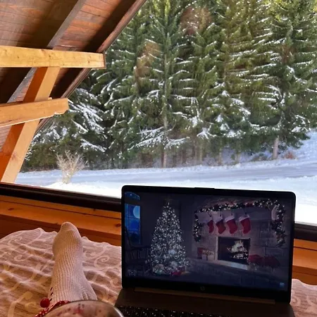 Brvnara Miris Bora Sljivovica (Zlatibor)