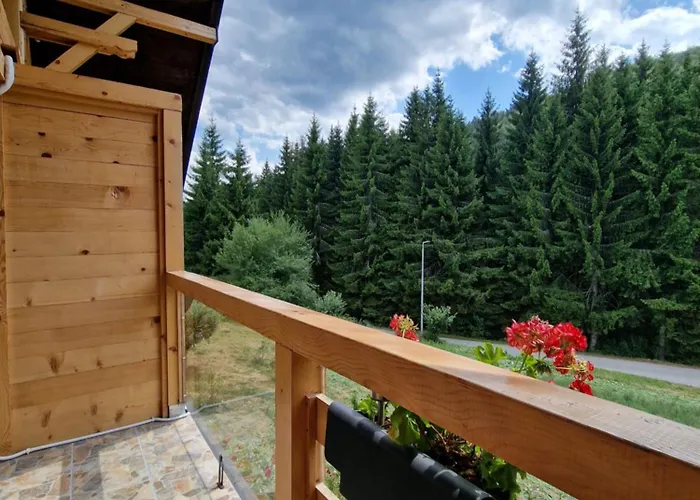 ゲストハウス Brvnara Miris Bora Šljivovica