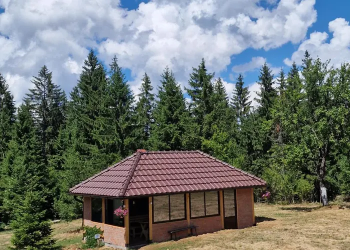 Brvnara Miris Bora ゲストハウス