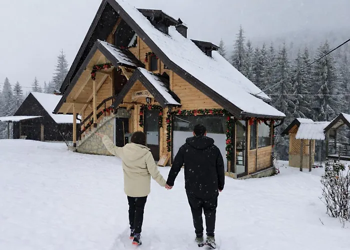 Brvnara Miris Bora ゲストハウス 3*